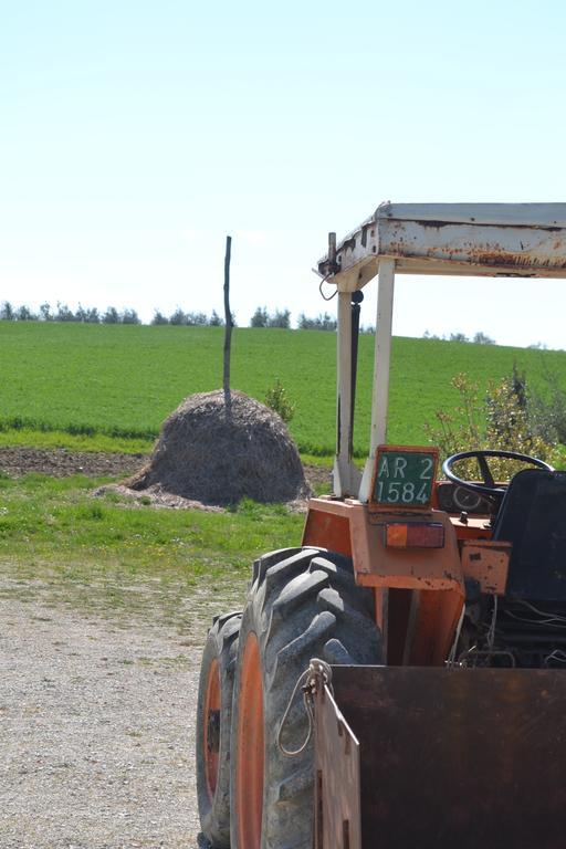 فندق توديفي  Agriturismo Il Merollo المظهر الخارجي الصورة