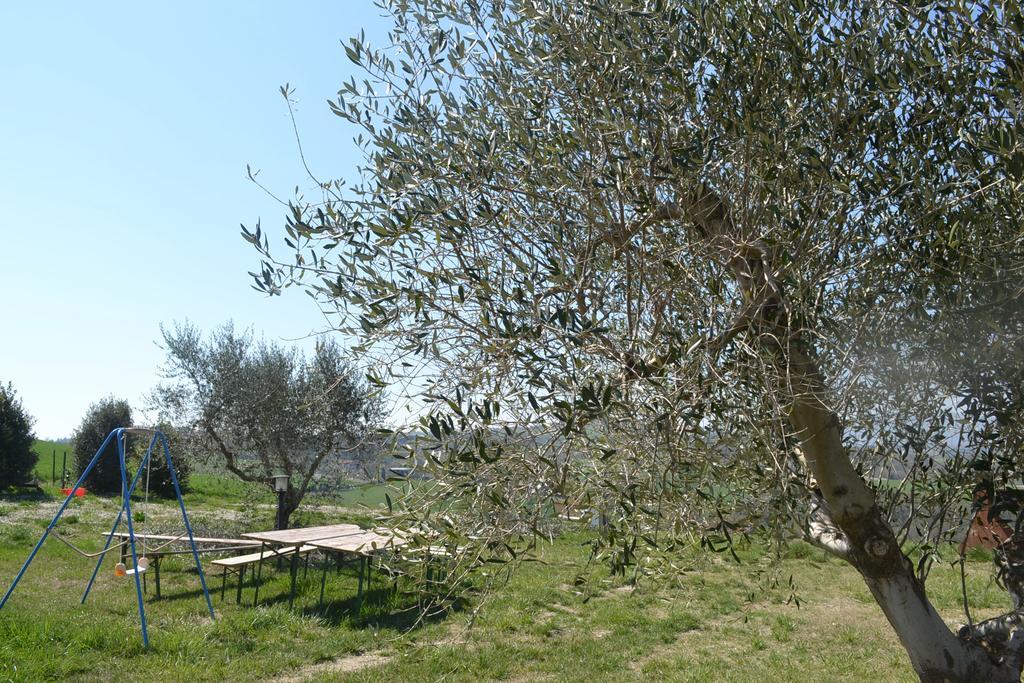 فندق توديفي  Agriturismo Il Merollo المظهر الخارجي الصورة